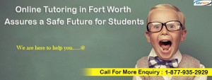 online tutoring in Fort Worth, online tutor,